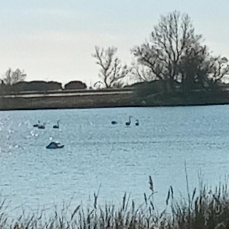 Aigues Mortes Studio De Vacances En Camargue 외부 사진
