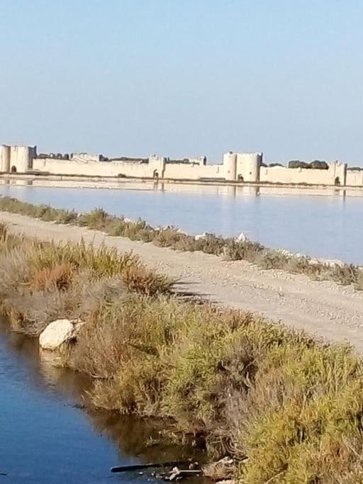 Aigues Mortes Studio De Vacances En Camargue 외부 사진